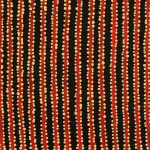 Aboriginal Artwork by Mitchell Japanangka Martin , Mina Mina Jukurrpa - Ngalyipi, 46x46cm - ART ARK®