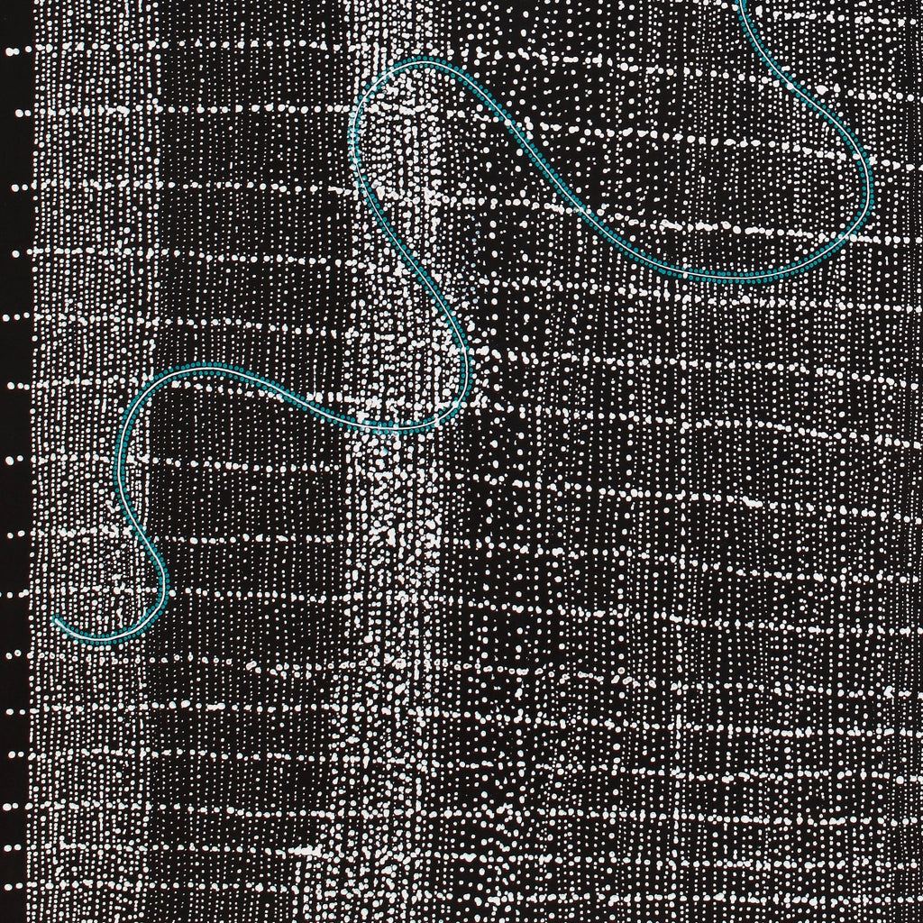 Aboriginal Artwork by Natasha Nakamarra Oldfield, Warna Jukurrpa (Snake Dreaming), 183x91cm