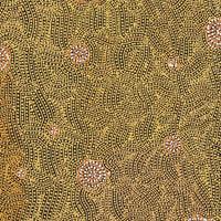 Aboriginal Artwork by Nathania Nangala Granites, Warlukurlangu Jukurrpa (Fire country Dreaming), 107x46cm