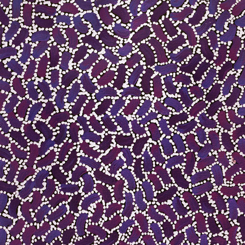 Aboriginal Artwork by Nathania Nangala Granites, Warlukurlangu Jukurrpa (Fire country Dreaming), 61x30cm