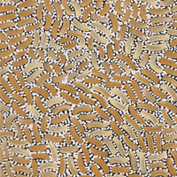 Aboriginal Artwork by Nathania Nangala Granites, Warlukurlangu Jukurrpa (Fire country Dreaming), 61x30cm