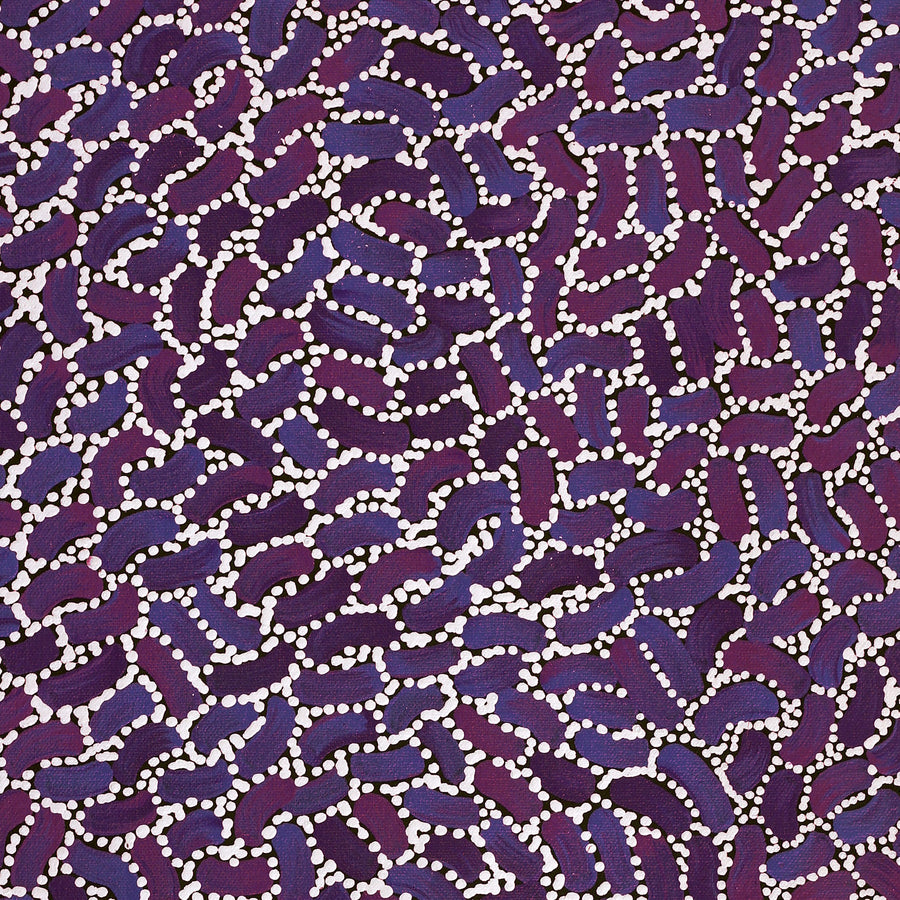 Aboriginal Artwork by Nathania Nangala Granites, Warlukurlangu Jukurrpa (Fire country Dreaming), 61x30cm