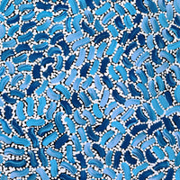 Aboriginal Artwork by Nathania Nangala Granites, Warlukurlangu Jukurrpa (Fire country Dreaming), 61x30cm