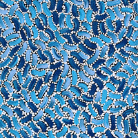 Aboriginal Artwork by Nathania Nangala Granites, Warlukurlangu Jukurrpa (Fire country Dreaming), 61x30cm