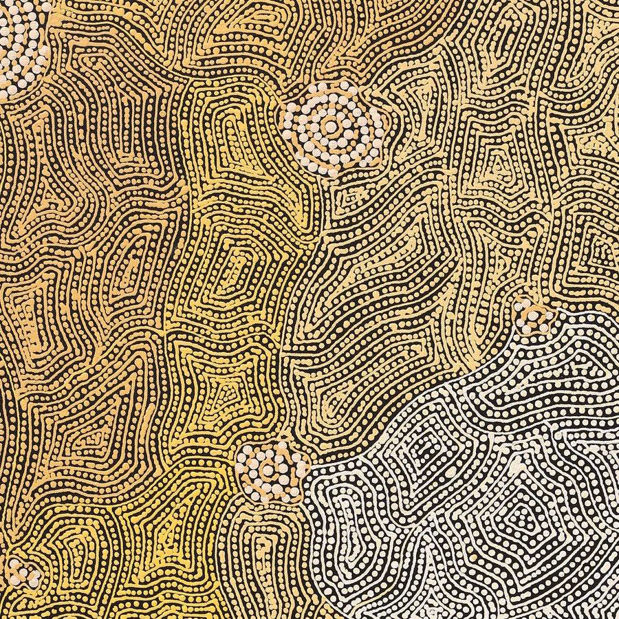 Aboriginal Artwork by Nathania Nangala Granites, Warlukurlangu Jukurrpa (Fire country Dreaming), 91x61cm