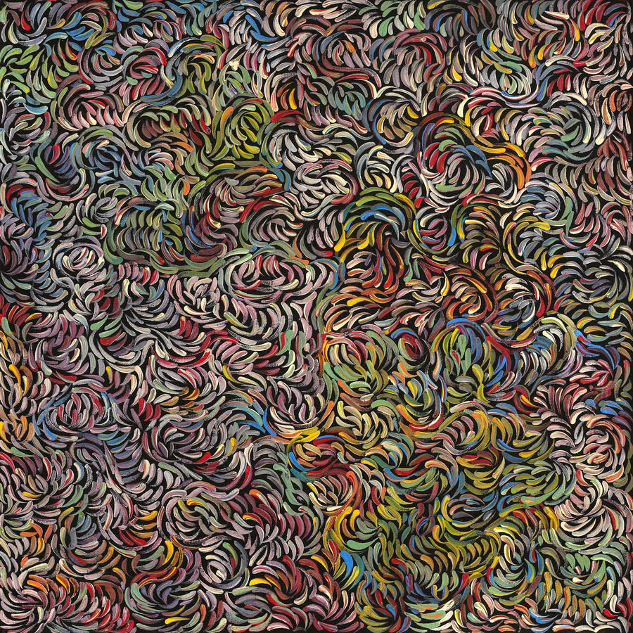 Aboriginal Artwork by Nola Napangardi Fisher, Purrpalanji (Skinny Bush Banana) Jukurrpa, 61x61cm