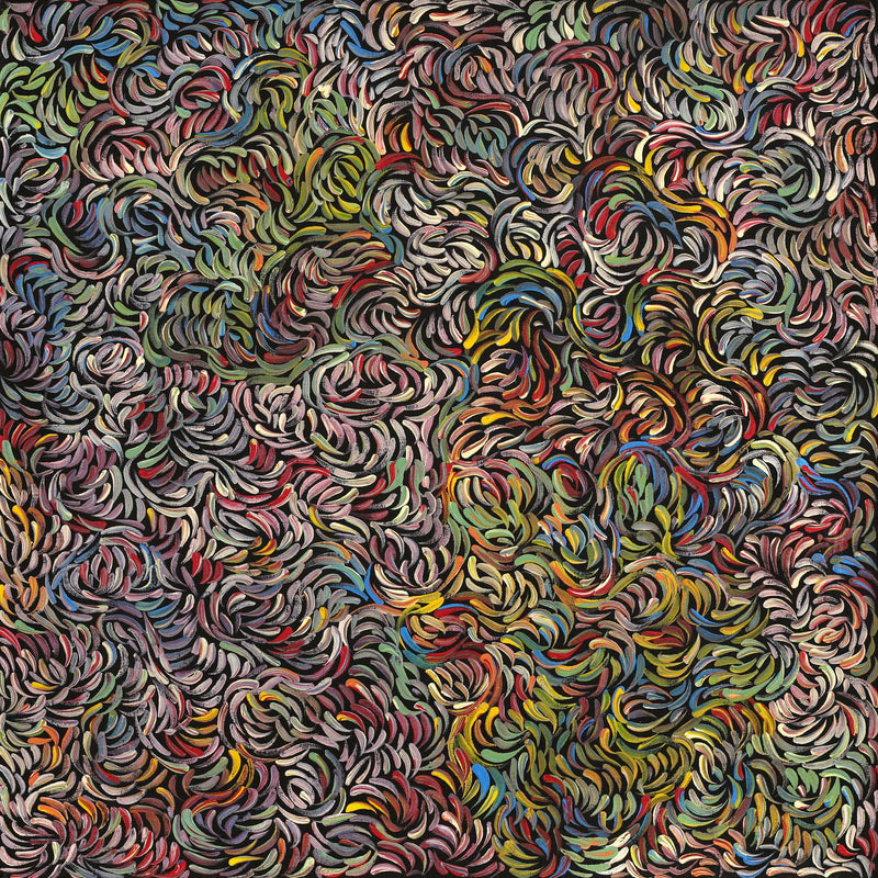 Aboriginal Artwork by Nola Napangardi Fisher, Purrpalanji (Skinny Bush Banana) Jukurrpa, 61x61cm