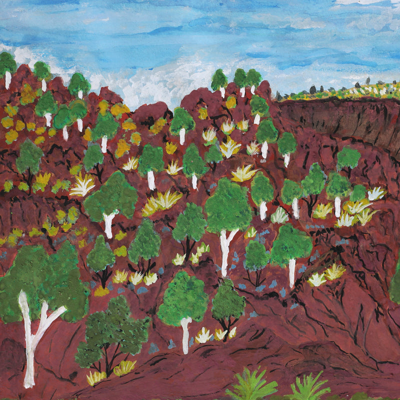 Aboriginal Artwork by Noreen Hudson, Ntaria, 54x35.5cm