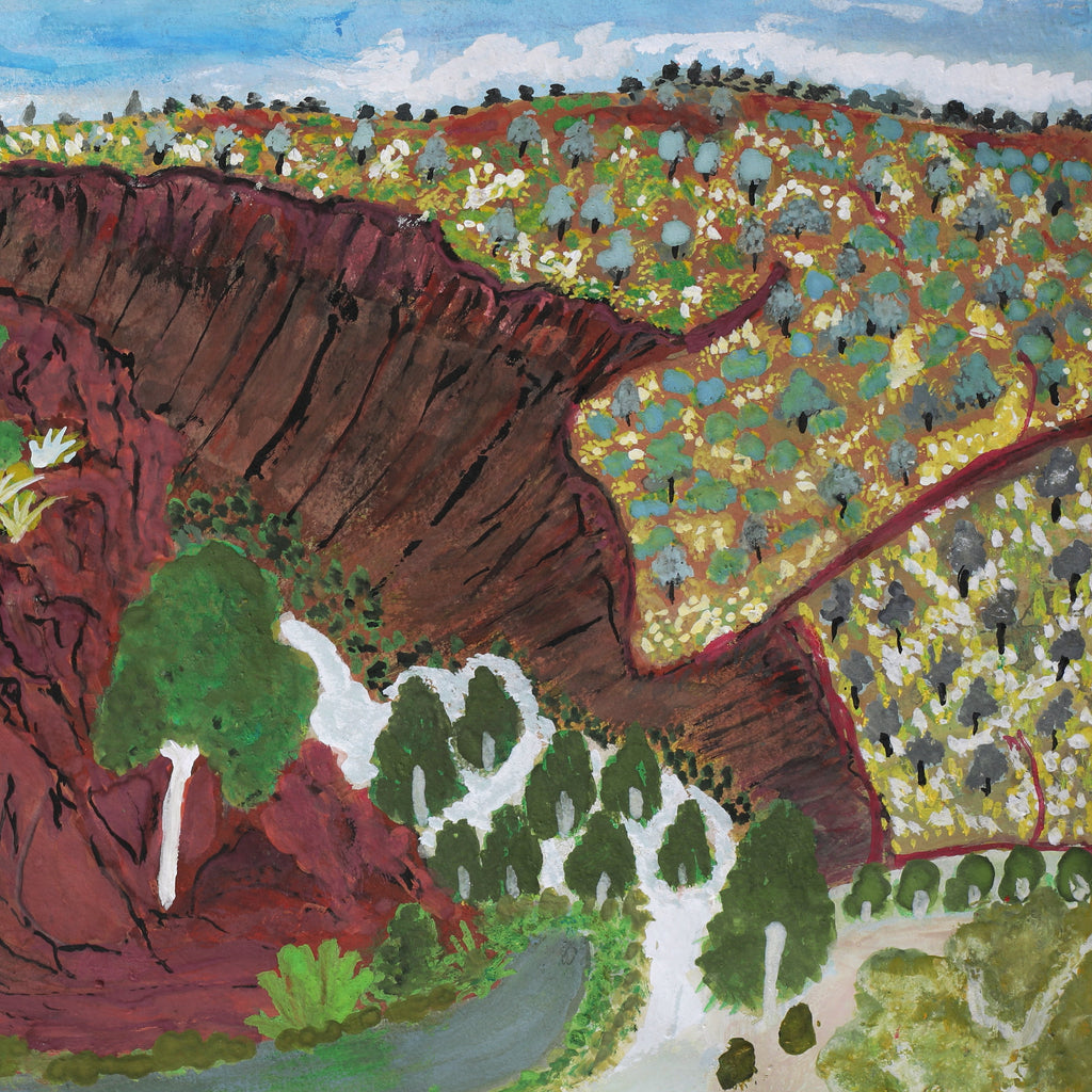 Aboriginal Artwork by Noreen Hudson, Ntaria, 54x35.5cm