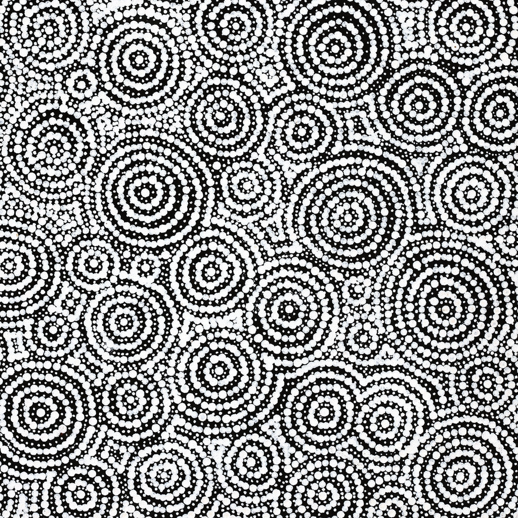 Aboriginal Artwork by Patricia Nakamarra Oldfield, Warna Jukurrpa (Snake Dreaming), 61x46cm