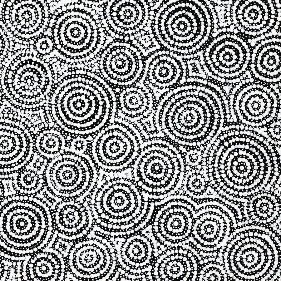 Aboriginal Artwork by Patricia Nakamarra Oldfield, Warna Jukurrpa (Snake Dreaming), 61x46cm