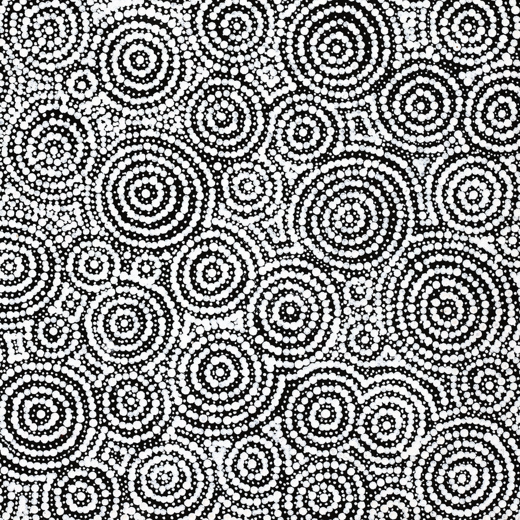 Aboriginal Artwork by Patricia Nakamarra Oldfield, Warna Jukurrpa (Snake Dreaming), 61x46cm - ART ARK®