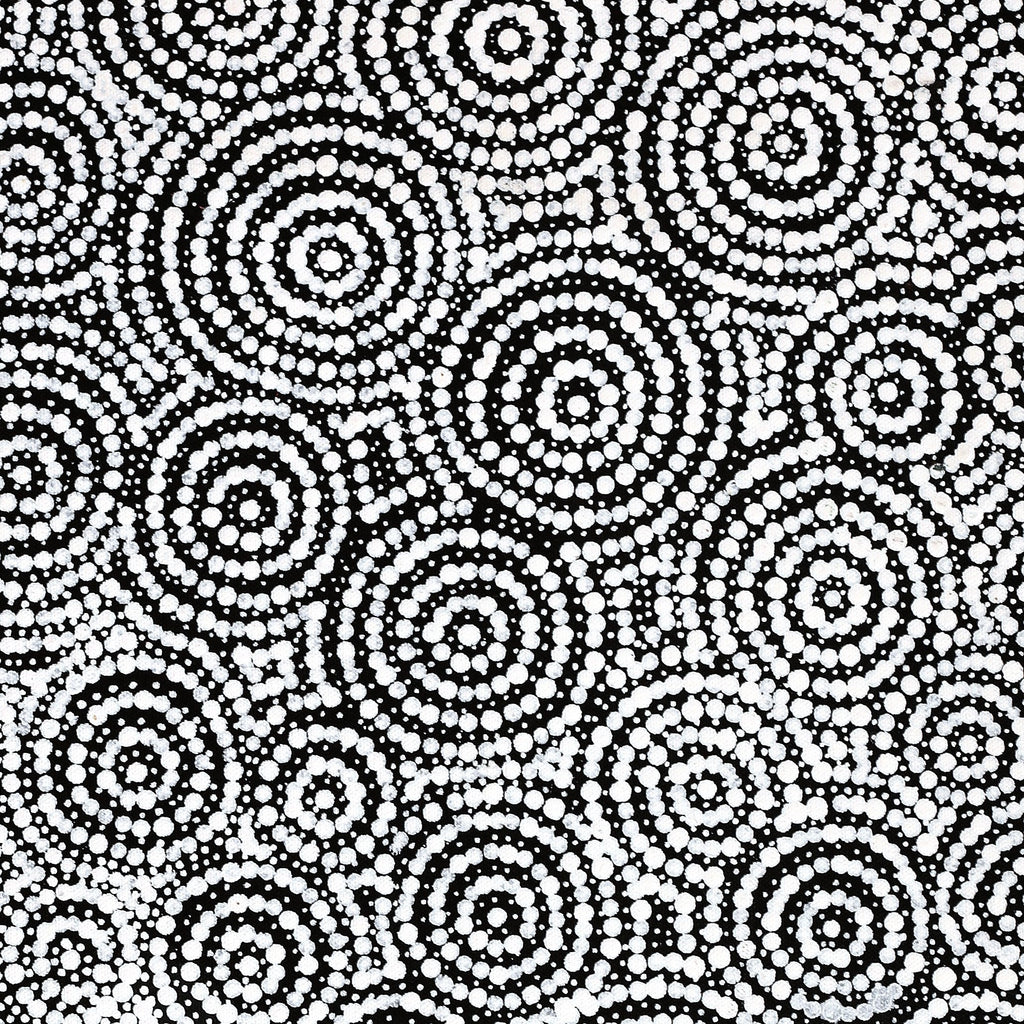 Aboriginal Artwork by Patricia Nakamarra Oldfield, Warna Jukurrpa (Snake Dreaming), 61x46cm