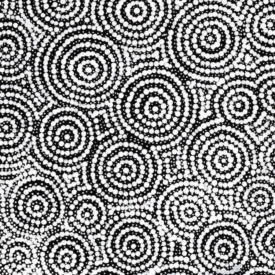 Aboriginal Artwork by Patricia Nakamarra Oldfield, Warna Jukurrpa (Snake Dreaming), 61x46cm