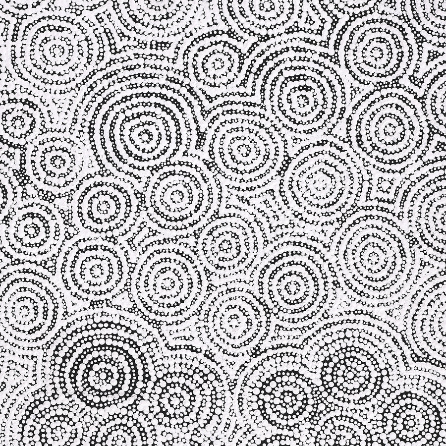 Aboriginal Artwork by Patricia Nakamarra Oldfield, Warna Jukurrpa (Snake Dreaming), 76x61cm