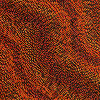 Aboriginal Artwork by Pauline Coombes, Bushfire painting, 61x61cm