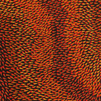 Aboriginal Artwork by Pauline Coombes, Bushfire painting, 61x61cm