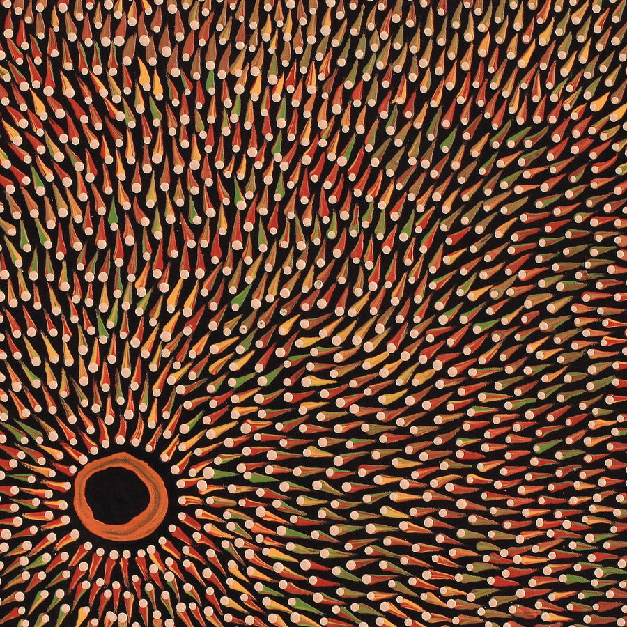 Aboriginal Artwork by Pauline Coombes, Walka Wiru Ngura Wiru, 61x61cm