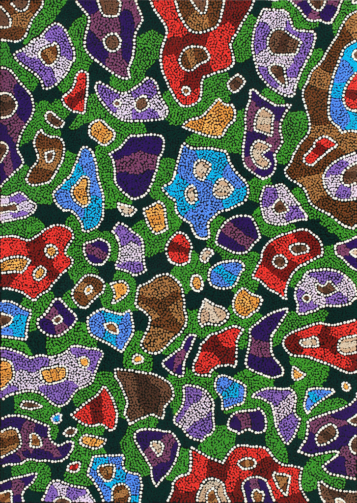 Aboriginal Artwork by Priscilla Napurrurla Herbert, Lukarrara Jukurrpa, 107x76cm