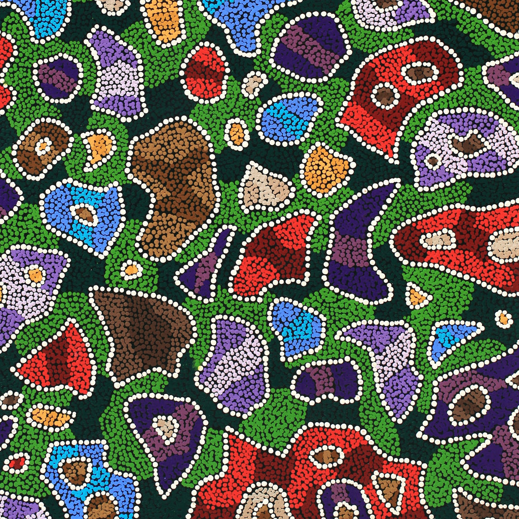 Aboriginal Artwork by Priscilla Napurrurla Herbert, Lukarrara Jukurrpa, 107x76cm - ART ARK®
