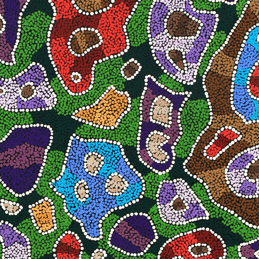 Aboriginal Artwork by Priscilla Napurrurla Herbert, Lukarrara Jukurrpa, 107x76cm