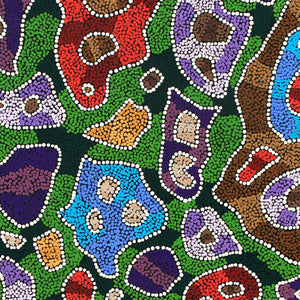 Aboriginal Art by Priscilla Napurrurla Herbert, Lukarrara Jukurrpa, 107x76cm - ART ARK®