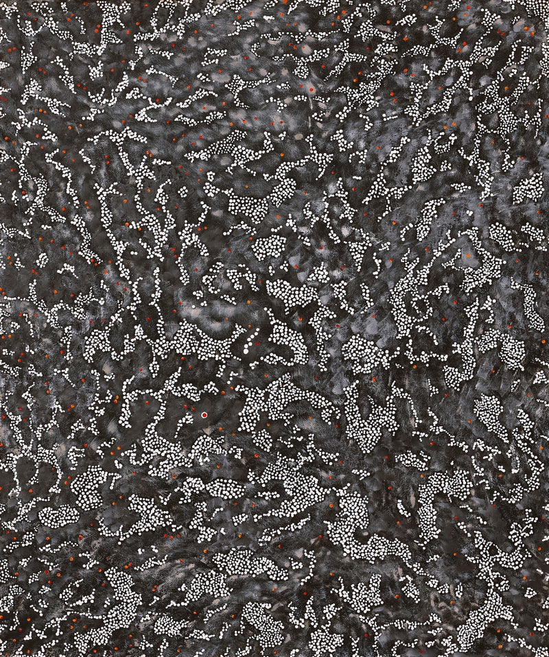 Aboriginal Artwork by Priscilla Napurrurla Herbert, Lukarrara Jukurrpa, 91x76cm