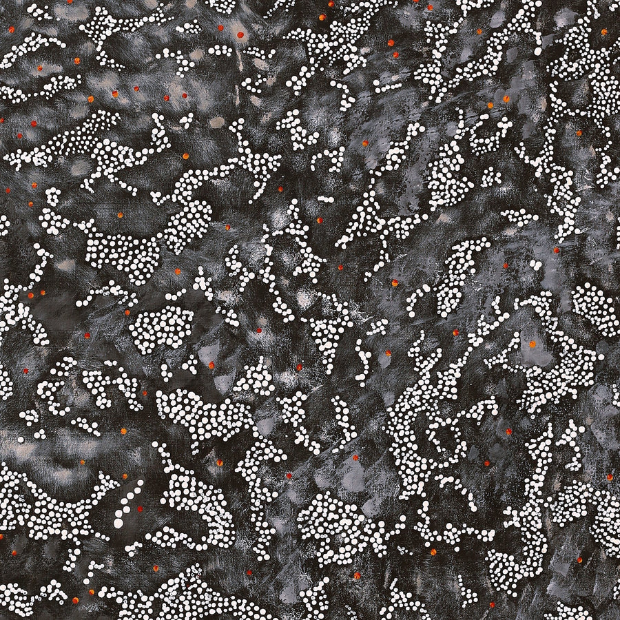 Aboriginal Artwork by Priscilla Napurrurla Herbert, Lukarrara Jukurrpa, 91x76cm