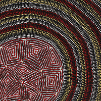 Aboriginal Artwork by Reanne Nampijinpa Brown, Lappi Lappi Jukurrpa, 61x61cm