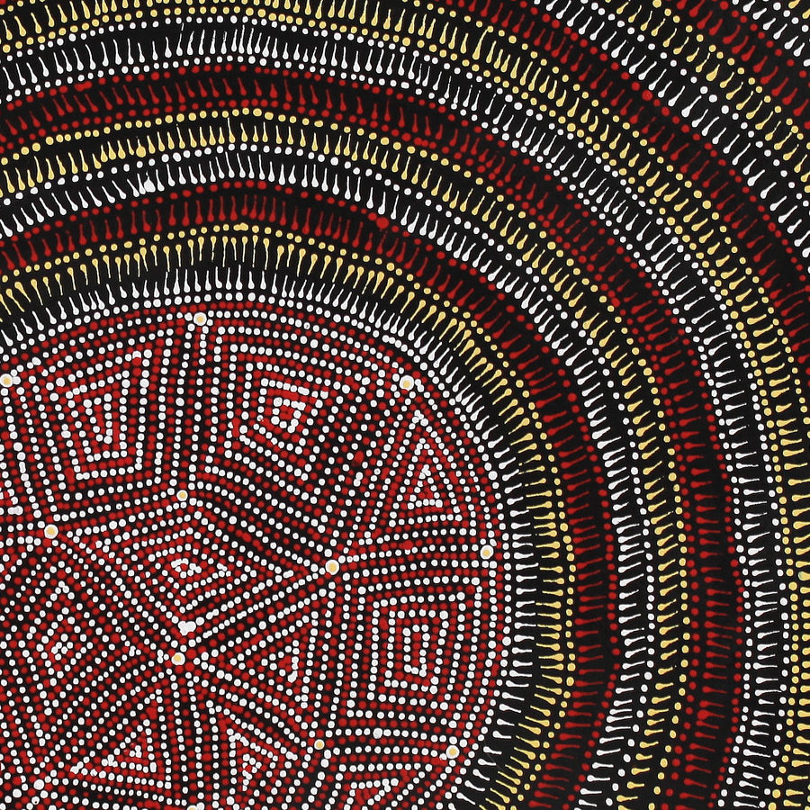 Aboriginal Artwork by Reanne Nampijinpa Brown, Lappi Lappi Jukurrpa, 61x61cm