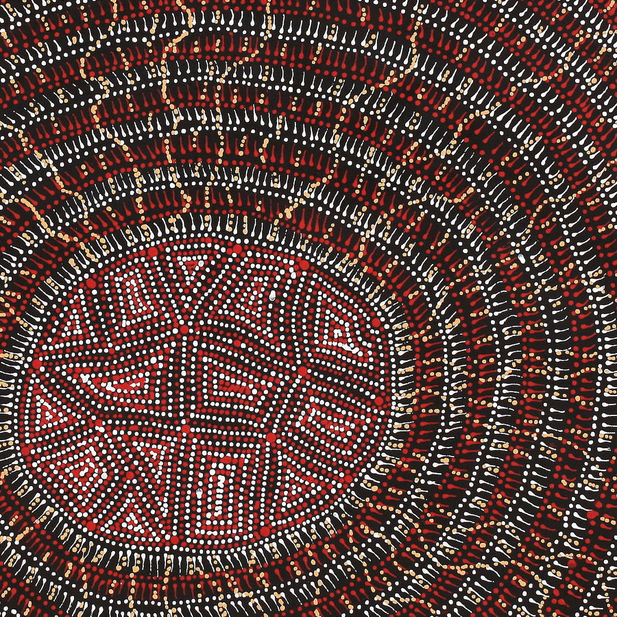 Aboriginal Artwork by Reanne Nampijinpa Brown, Lappi Lappi Jukurrpa, 61x61cm