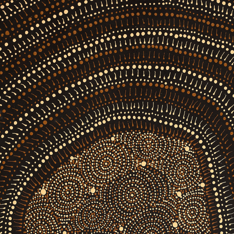 Aboriginal Artwork by Reanne Nampijinpa Brown, Lappi Lappi Jukurrpa, 76x46cm