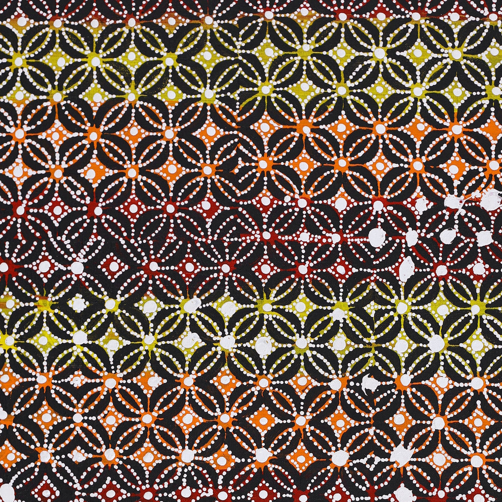 Aboriginal Artwork by Reanne Nampijinpa Brown, Lappi Lappi Jukurrpa, 76x46cm