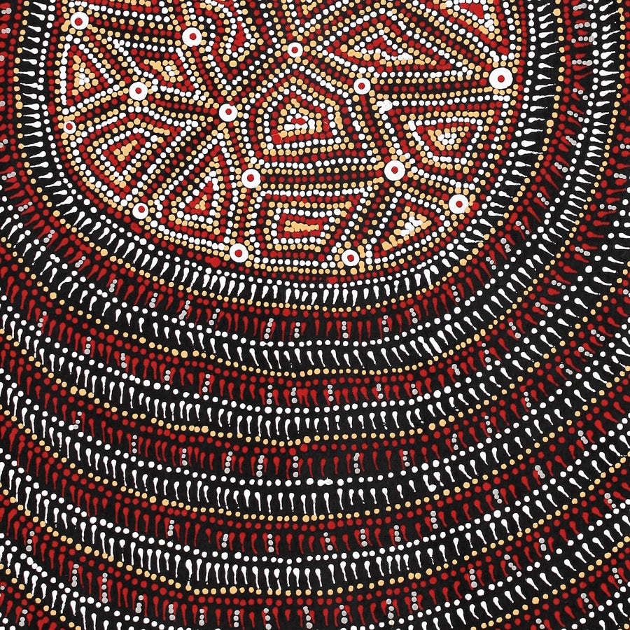 Aboriginal Artwork by Reanne Nampijinpa Brown, Lappi Lappi Jukurrpa, 91x30cm