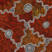 Aboriginal Artwork by Reanne Nampijinpa Brown, Ngapa Jukurrpa (Water Dreaming) - Mikanji, 107x46cm