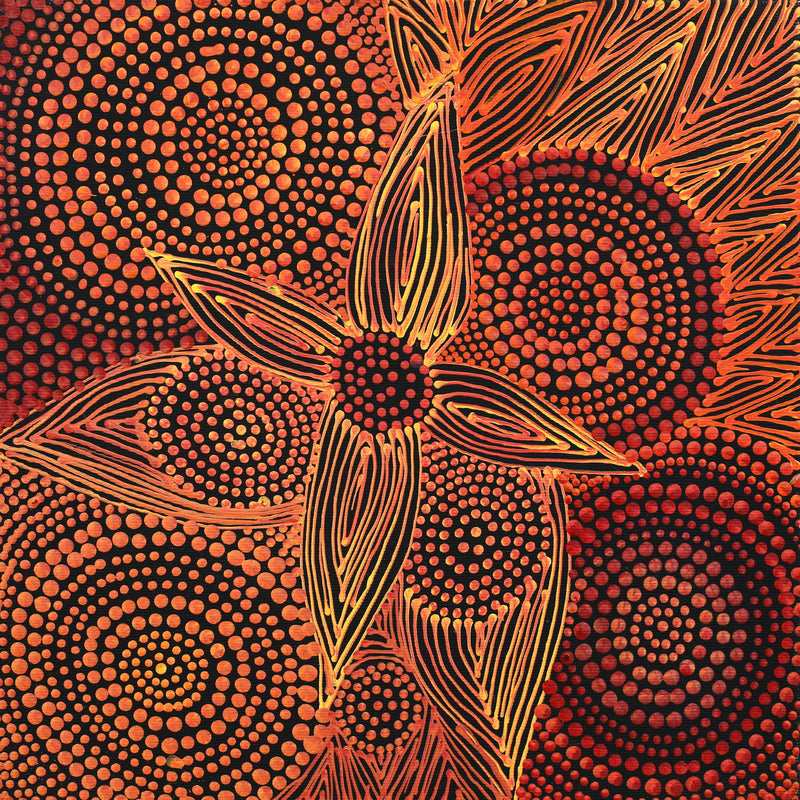 Aboriginal Artwork by Reanne Nampijinpa Brown, Ngapa Jukurrpa (Water Dreaming) - Mikanji, 30x30cm