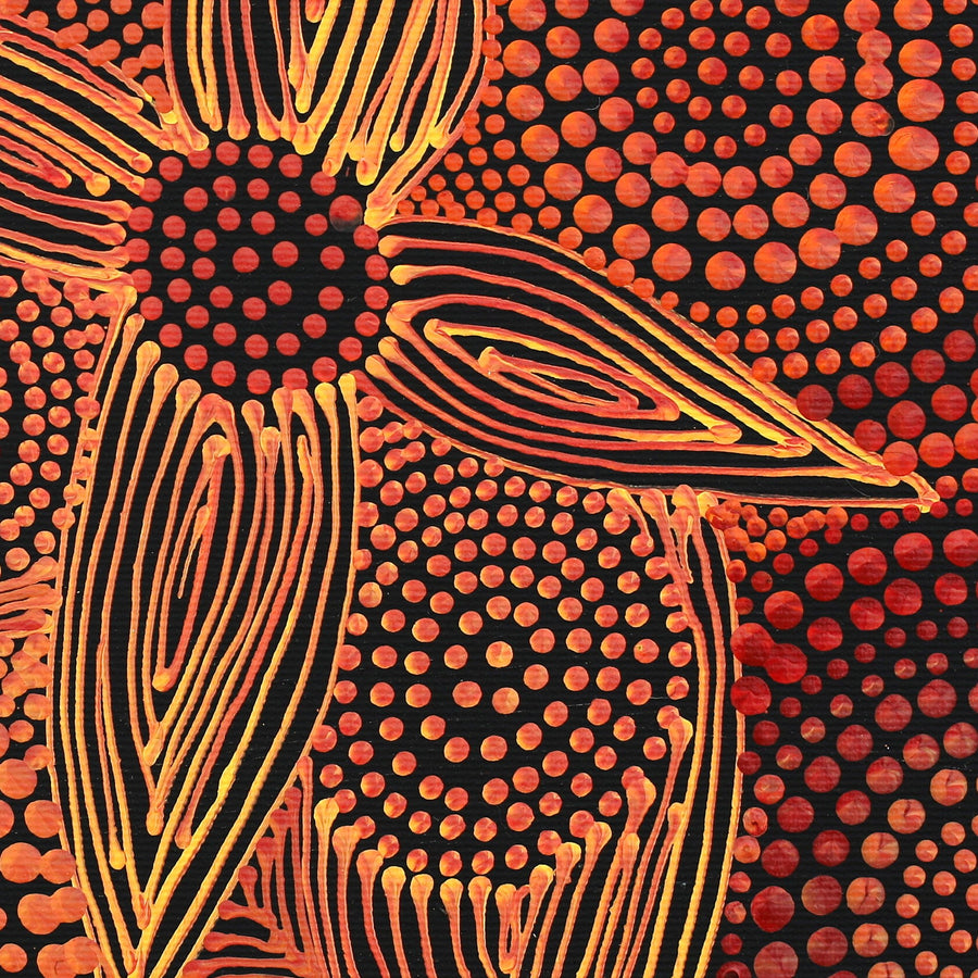 Aboriginal Artwork by Reanne Nampijinpa Brown, Ngapa Jukurrpa (Water Dreaming) - Mikanji, 30x30cm