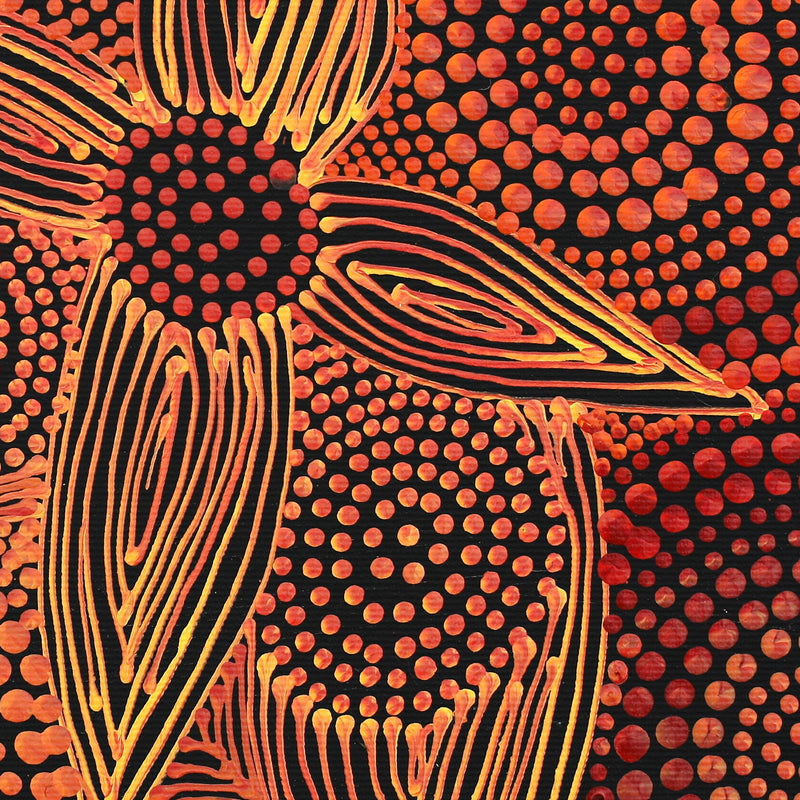 Aboriginal Artwork by Reanne Nampijinpa Brown, Ngapa Jukurrpa (Water Dreaming) - Mikanji, 30x30cm