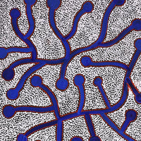 Aboriginal Artwork by Reanne Nampijinpa Brown, Ngapa Jukurrpa (Water Dreaming) - Mikanji, 91x46cm