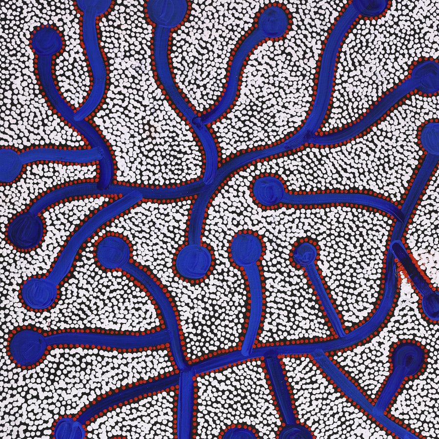 Aboriginal Artwork by Reanne Nampijinpa Brown, Ngapa Jukurrpa (Water Dreaming) - Mikanji, 91x46cm