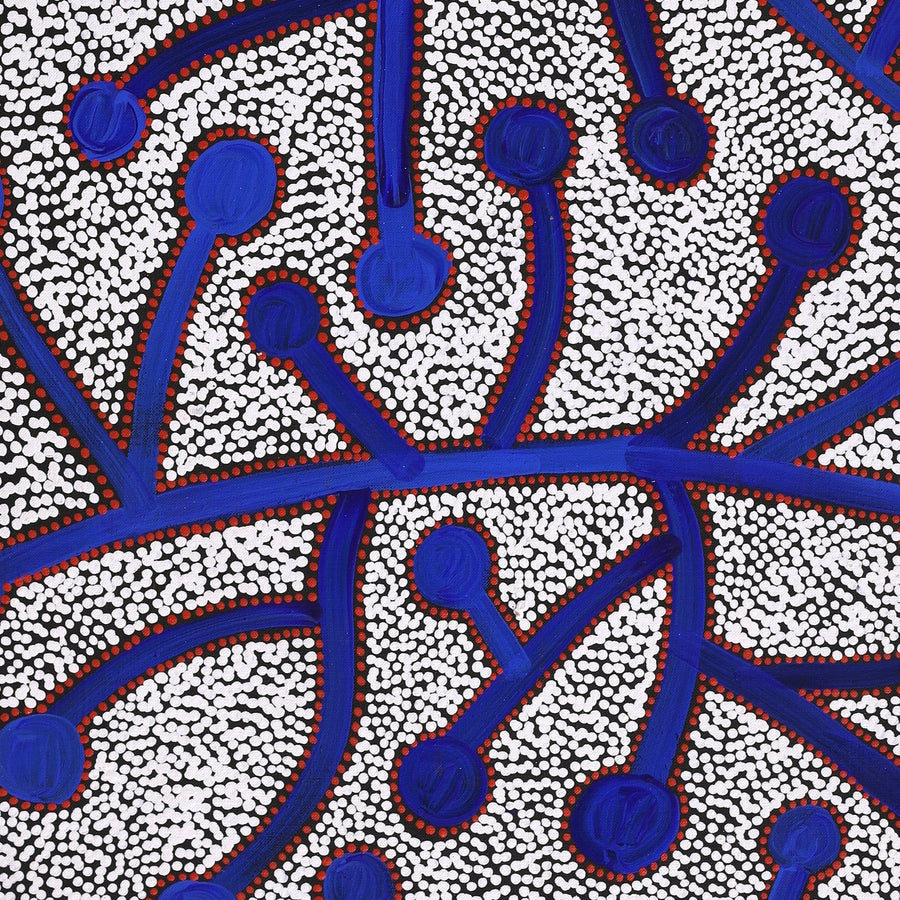 Aboriginal Artwork by Reanne Nampijinpa Brown, Ngapa Jukurrpa (Water Dreaming) - Mikanji, 91x46cm