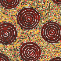 Aboriginal Artwork by Renita Napangardi Brown, Yuparli Jukurrpa (Bush Banana Dreaming), 182x61cm
