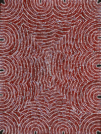 Aboriginal Artwork by Renita Napangardi Brown, Yuparli Jukurrpa (Bush Banana Dreaming), 61x46cm