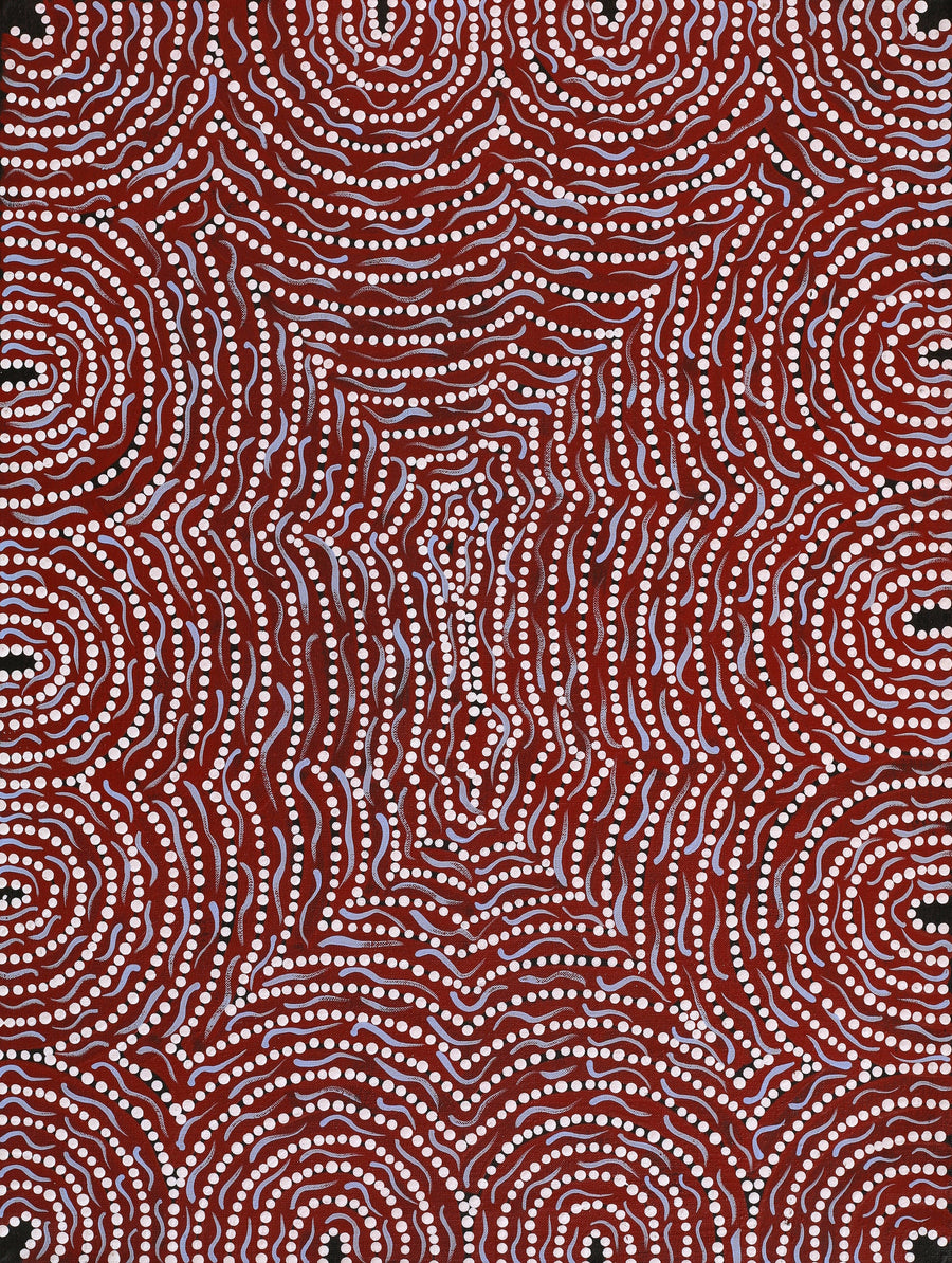 Aboriginal Artwork by Renita Napangardi Brown, Yuparli Jukurrpa (Bush Banana Dreaming), 61x46cm