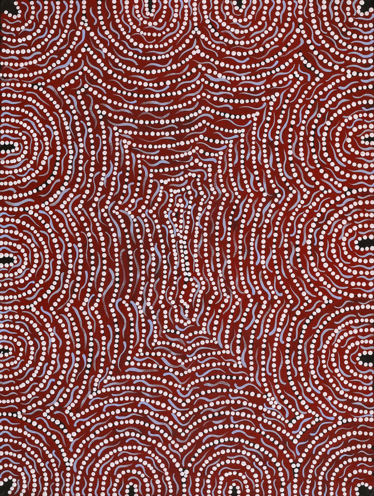 Aboriginal Artwork by Renita Napangardi Brown, Yuparli Jukurrpa (Bush Banana Dreaming), 61x46cm