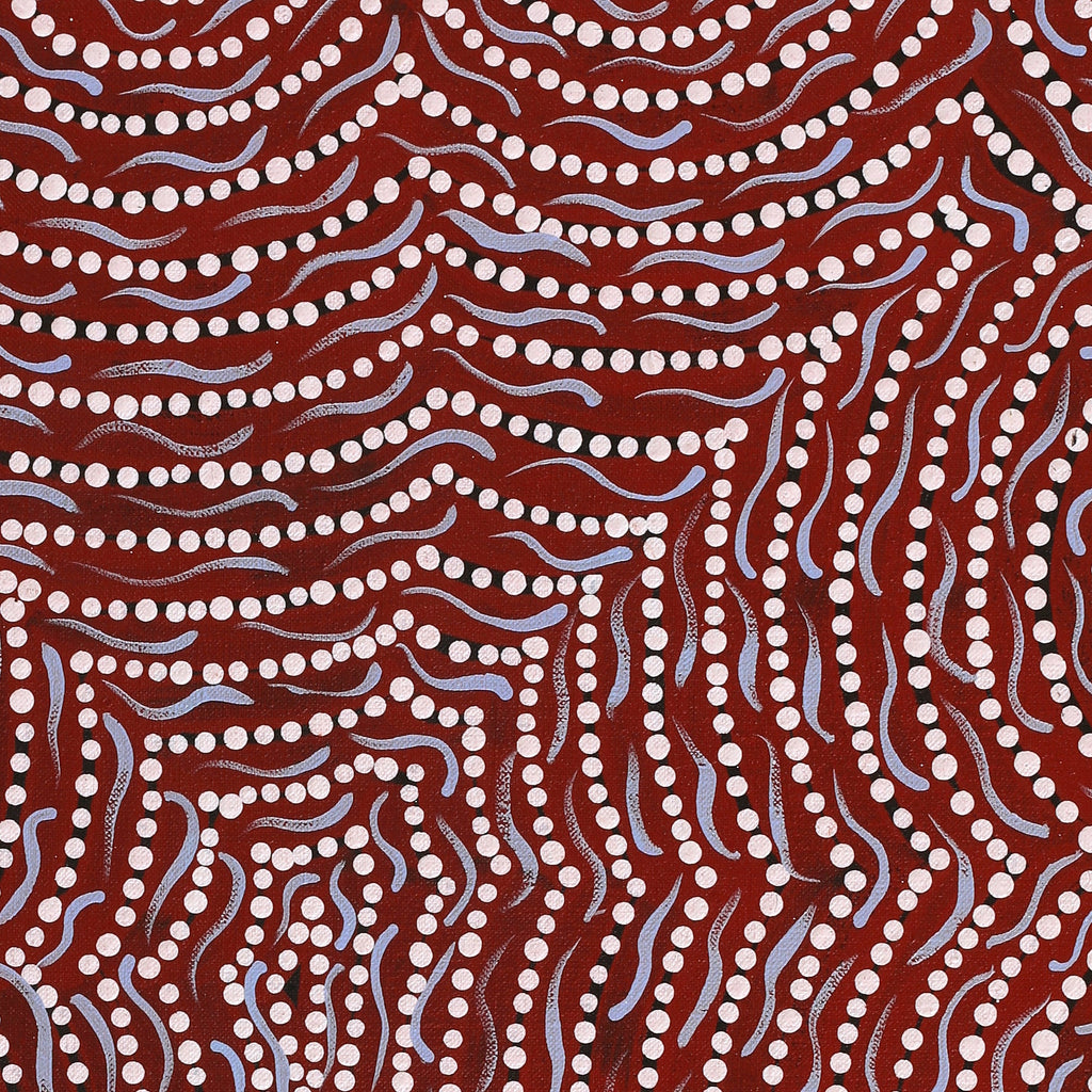 Aboriginal Artwork by Renita Napangardi Brown, Yuparli Jukurrpa (Bush Banana Dreaming), 61x46cm