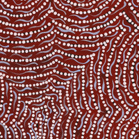 Aboriginal Artwork by Renita Napangardi Brown, Yuparli Jukurrpa (Bush Banana Dreaming), 61x46cm