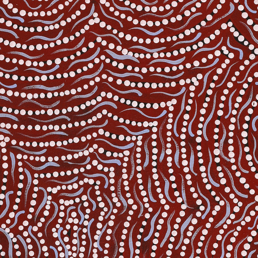 Aboriginal Artwork by Renita Napangardi Brown, Yuparli Jukurrpa (Bush Banana Dreaming), 61x46cm