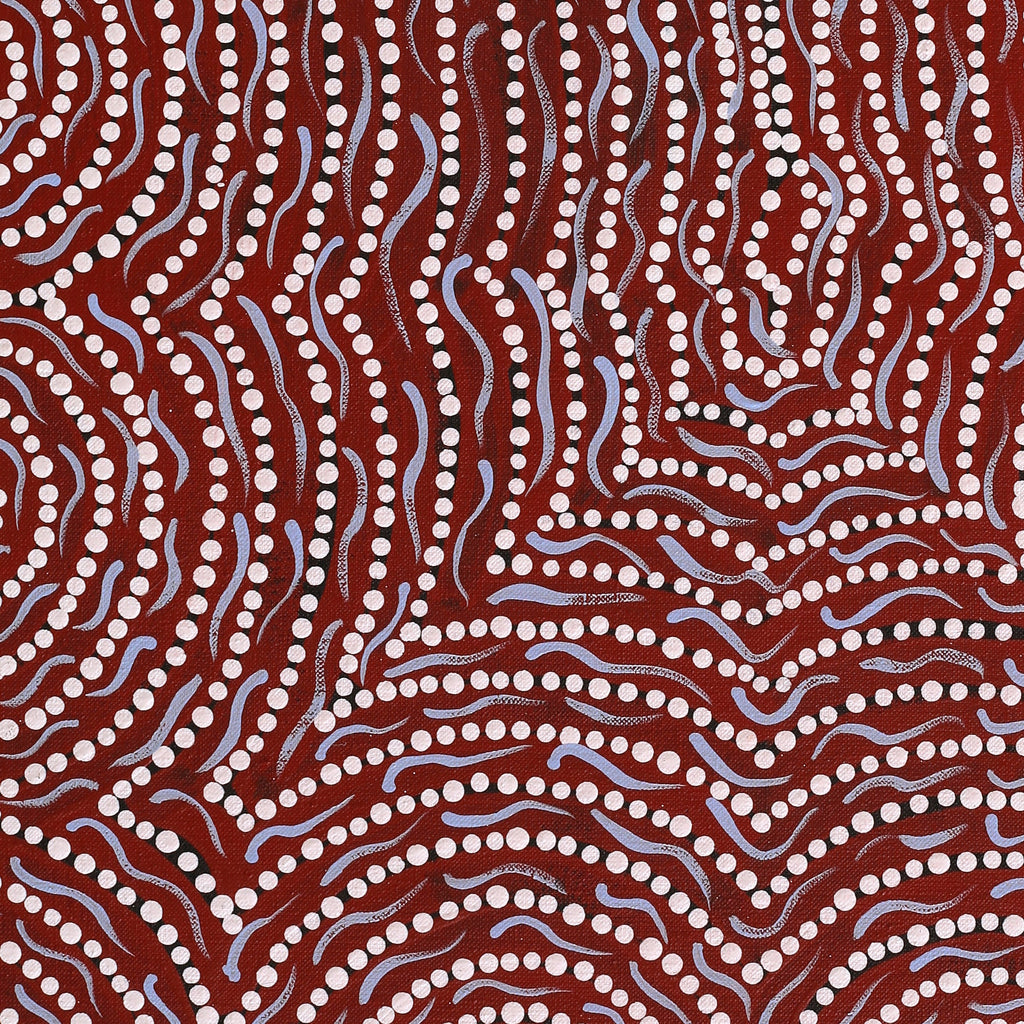 Aboriginal Artwork by Renita Napangardi Brown, Yuparli Jukurrpa (Bush Banana Dreaming), 61x46cm