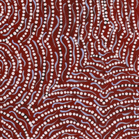 Aboriginal Artwork by Renita Napangardi Brown, Yuparli Jukurrpa (Bush Banana Dreaming), 61x46cm